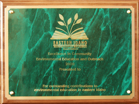 EIEEA Award