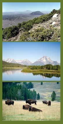 Idaho